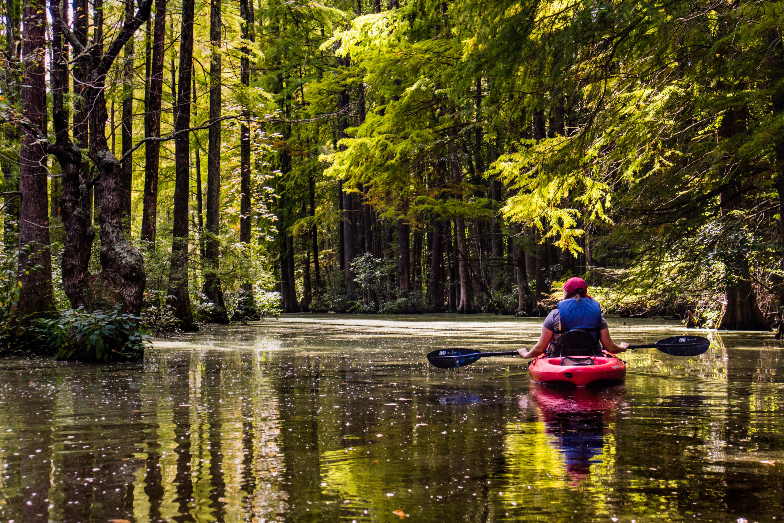 Kayaker at Trap Pond State Park